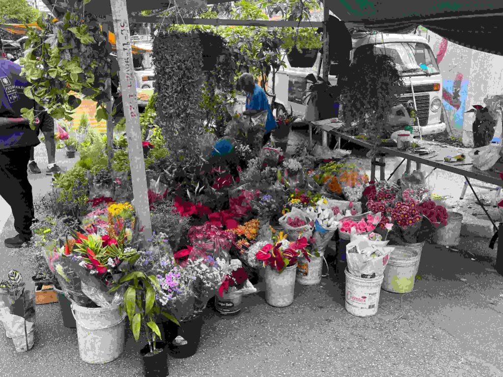 barraca-flores-feira-livre-pinheiros barraca-flores-feira-livre-pinheiros