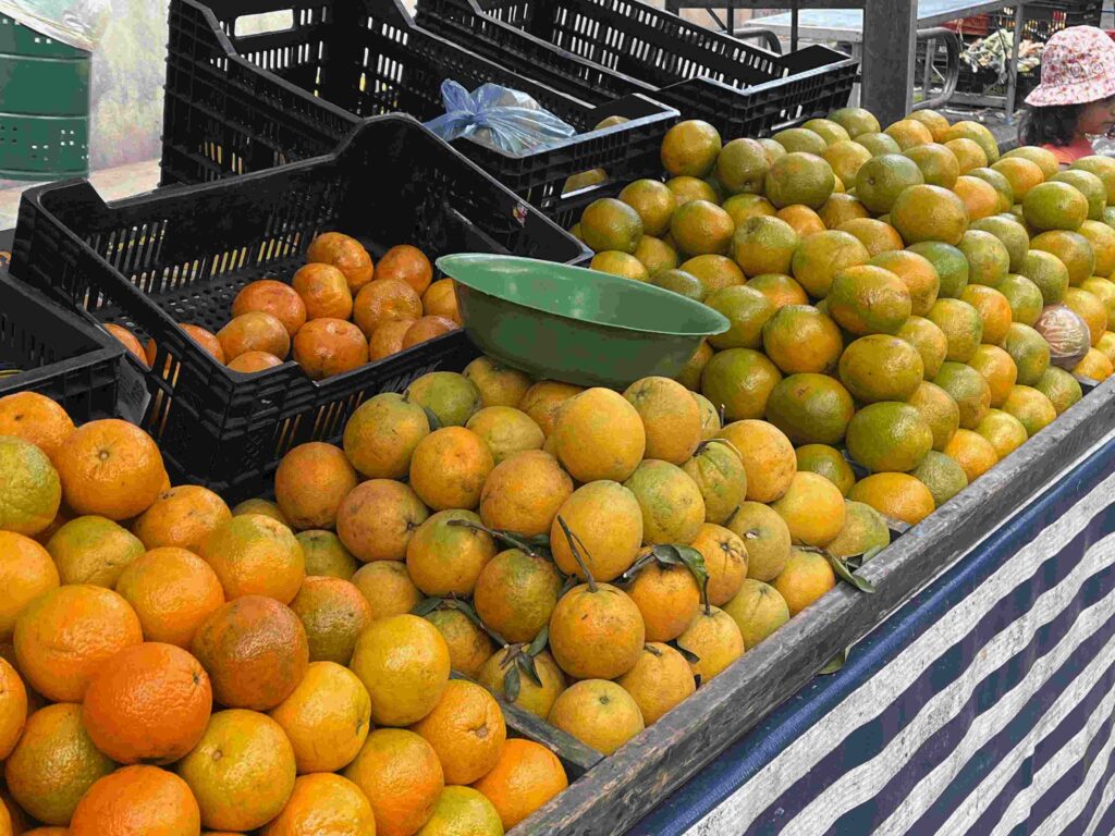 barraca-laranja-feira-livre-pinheiros barraca-laranja-feira-livre-pinheiros