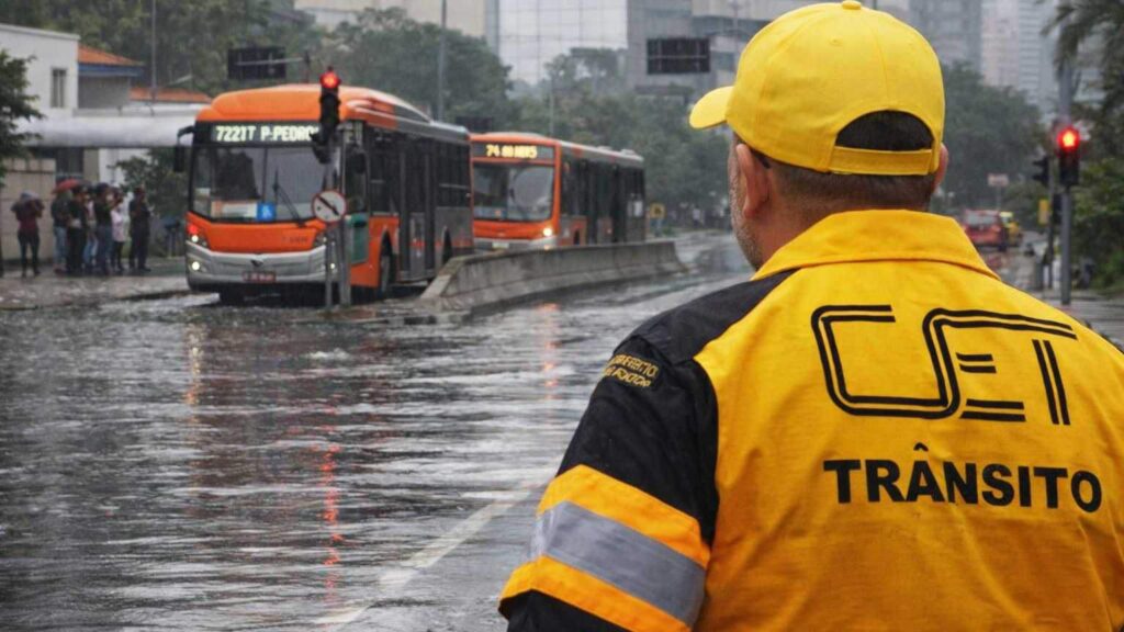 Pinheiros em dias de chuva 2