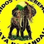 Bloco Kaya na Gandaia