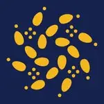 Grupo Maracatu Bloco de Pedra