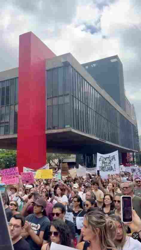 Passeata pelo cão Orelha na av. Paulista