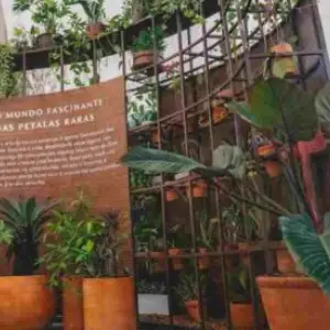 Orquidário Ruth Cardoso – Parque Villa-Lobos