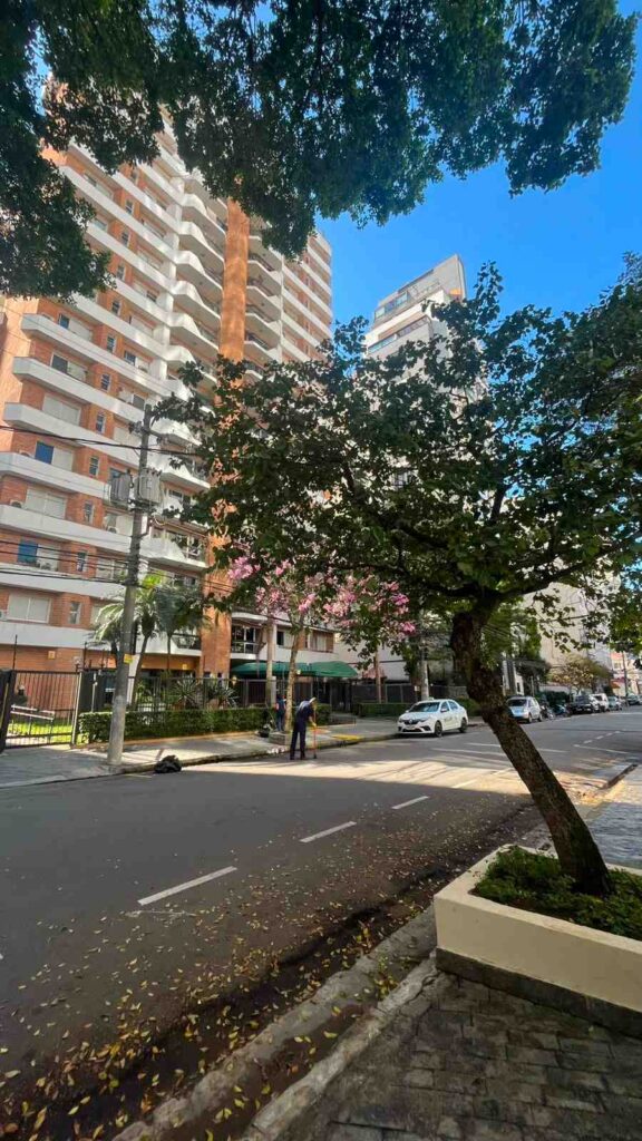 ruas-de-pinheiros