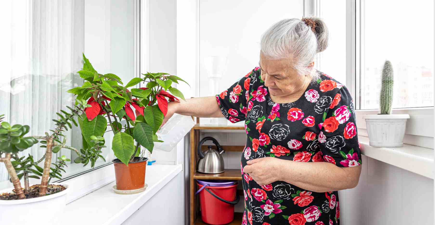 Idosa cuidando de plantas durante rotina em casa