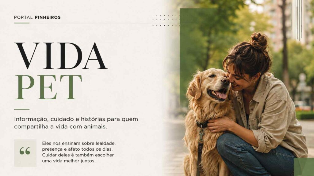 vida pet pinheiros vida pet pinheiros