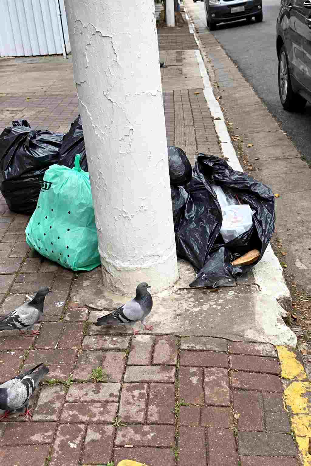 Pombos próximos a sacos e resíduos deixados na Rua dos Pinheiros