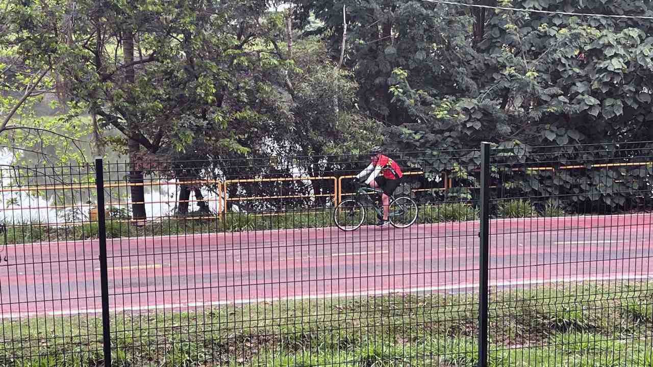 Ciclista passando pela ciclovia da Marginal Pinheiros próximo à campanha Artistas do Brasil Pets