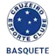 Cruzeiro Basquete