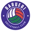 Paulistano Barueri